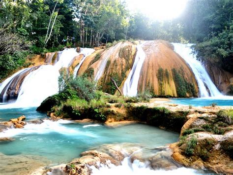 Palenque Tourism (2021): Best of Palenque, Mexico - Tripadvisor