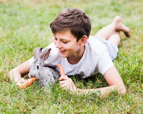 Hare children Images - Free Download on Freepik