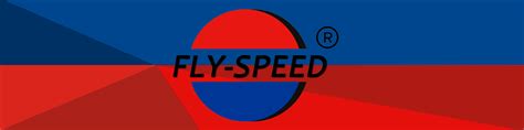 Image result for Fly Speed Logo