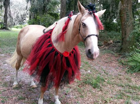 A selection of very creative HALLOWEEN HORSE COSTUMES! - Horse and Man