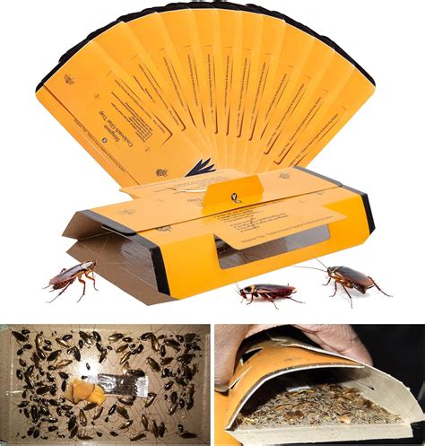 18 Pack Roach Traps Indoor Roach Killer Indoor India | Ubuy