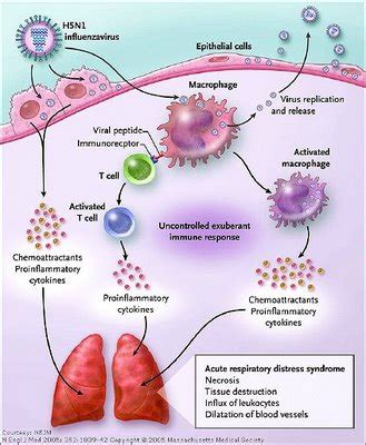 Cytokine storm syndrome worsens COVID-19 outcomes