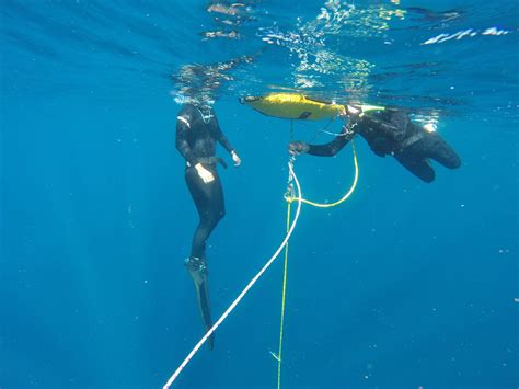 FREEDIVING GOLD COAST (2025) All You Need to Know BEFORE You Go (with ...