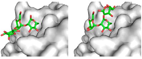 Emerging Structural Insights into Glycoprotein Quality Control Coupled ...