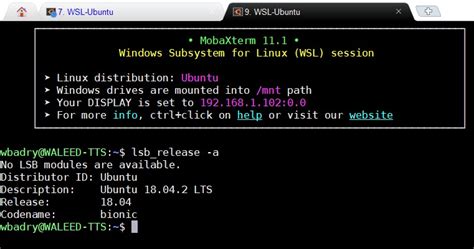 Image result for Windows Subsystem for Linux GUI Demo