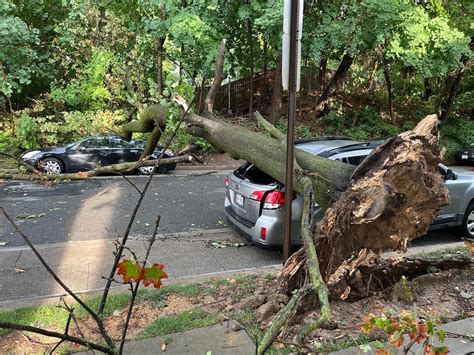 Damaging storms leave behind toppled trees, over 200,000 without power ...