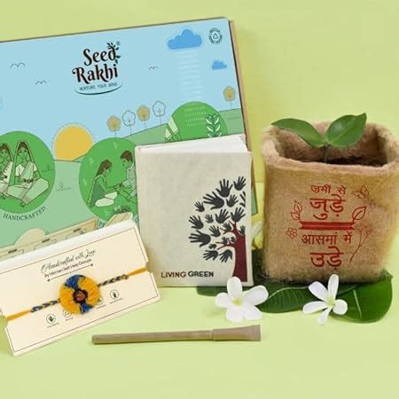 SeedRakhi Rakshabandhan Gift for Brother - Natural Plantable Rakhi Set ...