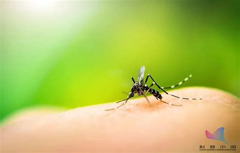 为什么蚊子永远不会被雨滴砸死？千万别被孩子问住了_腾讯新闻