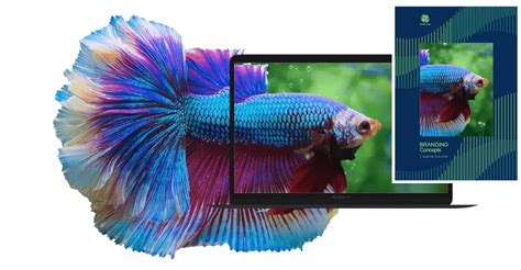 Color Printer 的图像结果