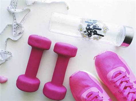 Exercise Program Design 的图像结果