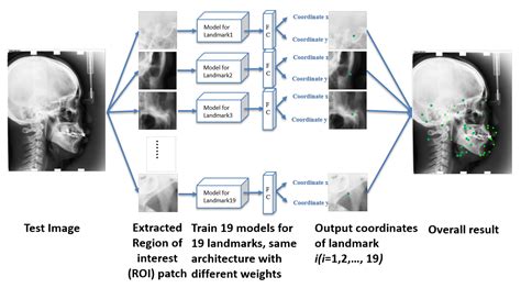 Automatic Cephalometric Landmark Detection on X-ray Images Using a Deep ...