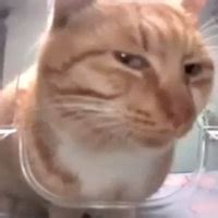 Image result for Swift Code Example On CC