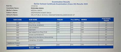 Ridhima Singh Marksheet - बुलंदशहर की रिदिमा ने CBSE 12th Result में ...