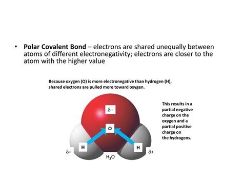 Biochemistry Tutorials 的图像结果