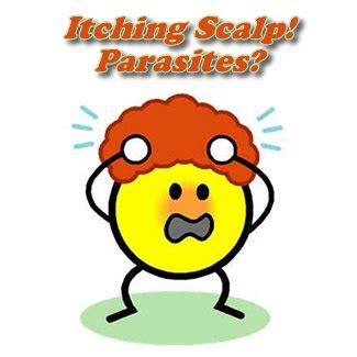 Scalp Parasites 的图像结果