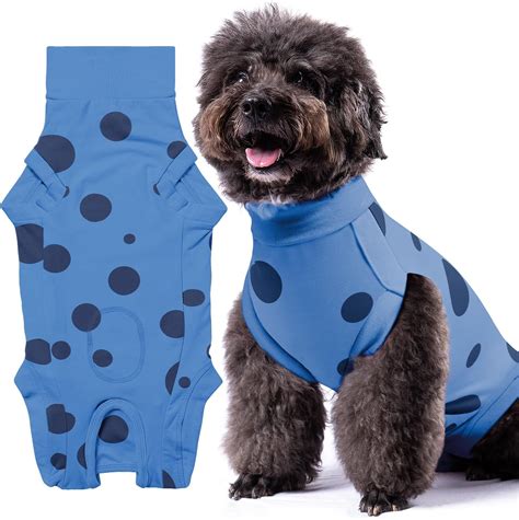 Amazon.com: Dog Recovery Suit Dog Surgery Recovery Suit Female, Dog ...