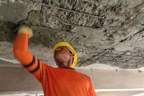 Comprehensive Waterproofing and Painting