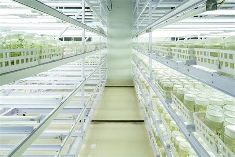 Kanha Shanti Vanam Earns IGBC Platinum Green Building Certification | HARI