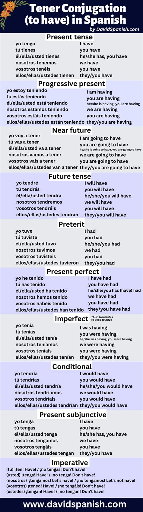 Tener Conjugation: How To Conjugate "To Have" In Spanish