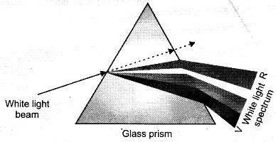 Image result for Class 10th Science Human Eye Chapter