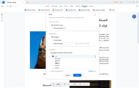 Image result for Arabic OCR Python