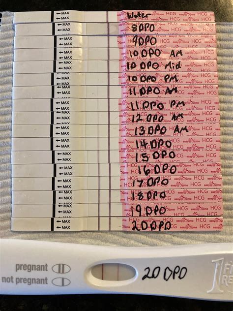 9-12 DPO Progression on Pregmate and Easy@Home- potential chemical? : r ...