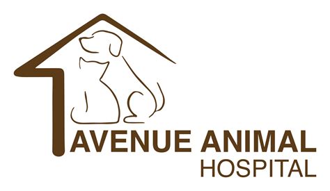 Vet Care In Tinley Park, Illinois | Avenue Animal Hospital