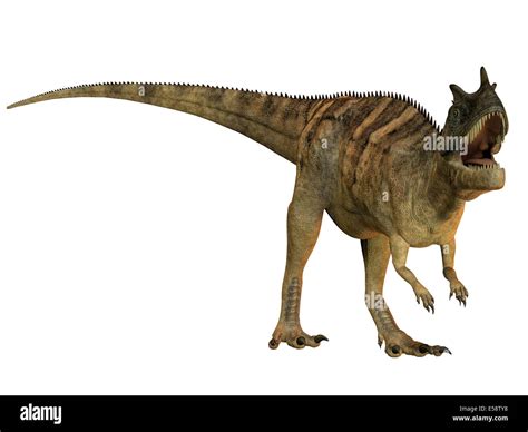 Dinosaur With Horn On Back Of Head