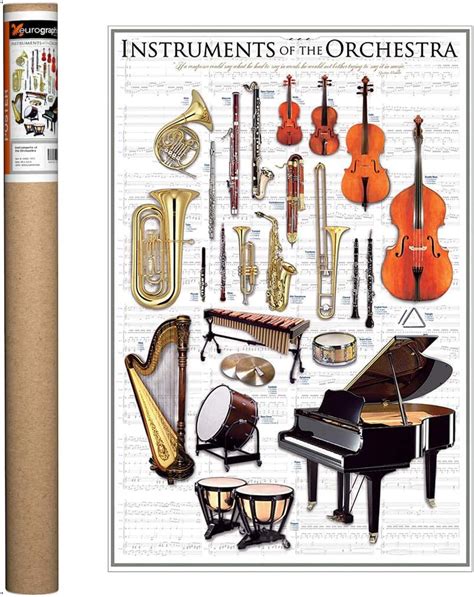 Image result for Orchestra String Instruments Posters