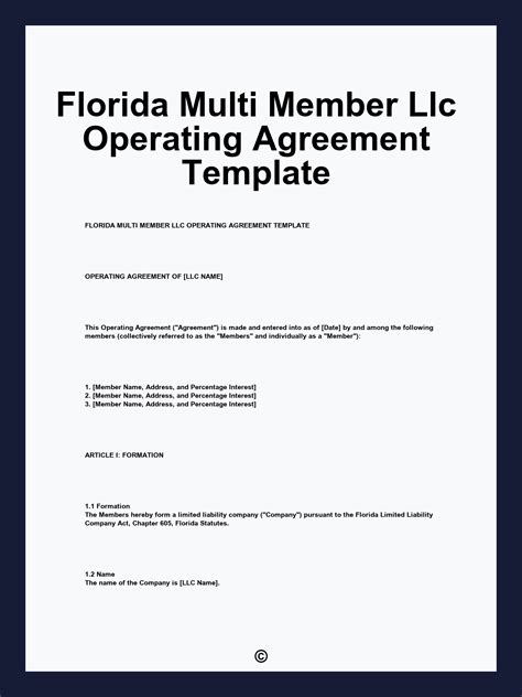 Florida Multi Member Llc Operating Agreement Template