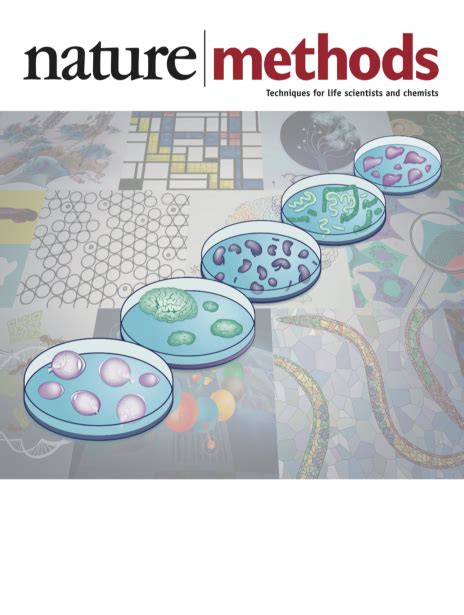 Springer Nature Methods Book 的图像结果