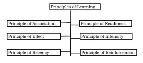 Principles Affecting Learning Resources Development 的图像结果