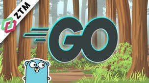 Image result for Complete Go Developer Udemy Course Free