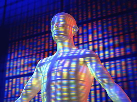 Human Genome Project 的图像结果