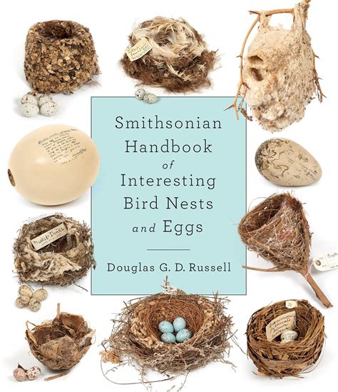 Types Bird Nests Different Birds Build Hanging Nests To Deter Nest