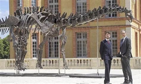 Biggest and ‘most complete' dinosaur skeleton to go on sale on November 16