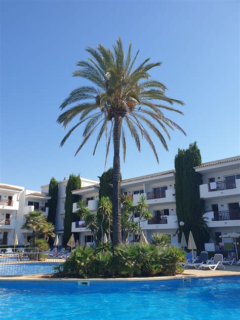 INTUROTEL AZUL GARDEN (Cala d'Or, Majorca) - Hotel Reviews, Photos ...