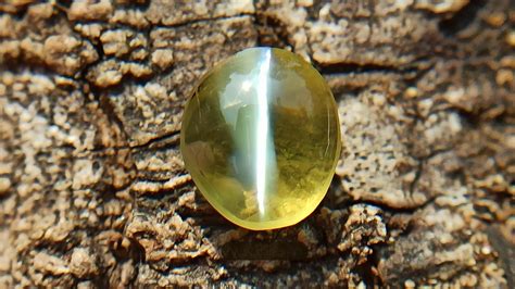 Astrological Benefits of Wearing Cat’s Eye Gemstone For a Better Life