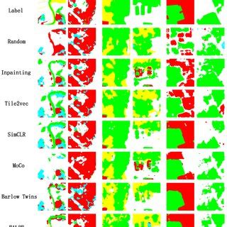 Segmentation Visualization Stack Overflow 的图像结果