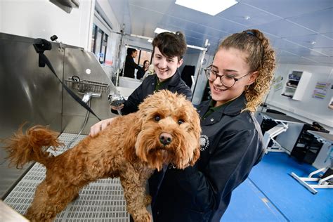 Veterinary Nursing - Hopwood Hall College