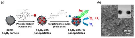 Photo-Functionalized Magnetic Nanoparticles as a Nanocarrier of ...