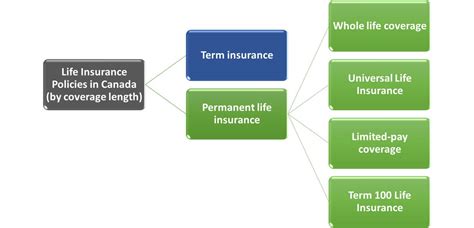 Life Insurance Coverage 的图像结果