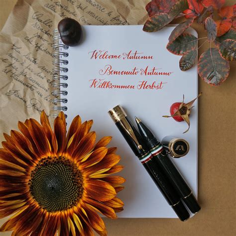 GIOIA, Fountain Pen & Rollerball Pen - PARTENOPE BLACK GT. — SWASTIK penn