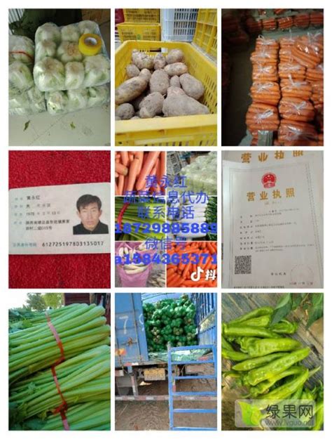 农户种的农产品如何卖？河南内黄蔬菜代办4个月销售农产品8000吨 - 知乎