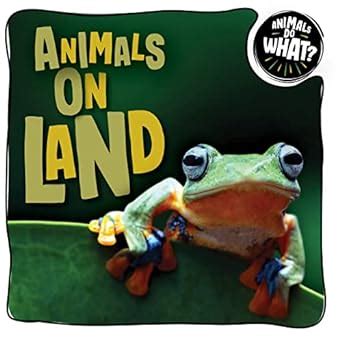 Animals on Land (Animals Do What?) : Mchale, Brenda: Amazon.in: Books