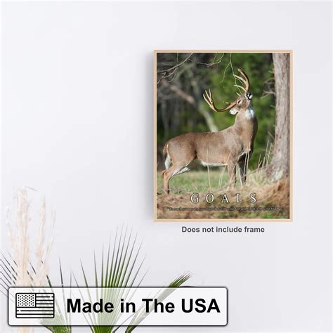 Ohio State Animal White Tailed Deer