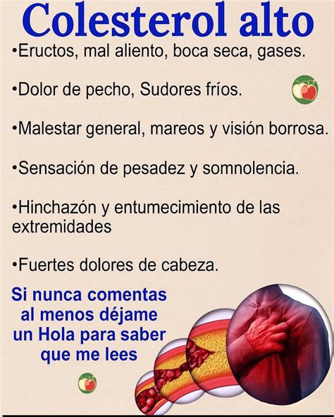 SÍNTOMAS DEL COLESTEROL ALTO: SEÑALES QUE NO DEBES IGNORAR - Wowug