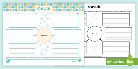 Osmosis Mind Map (teacher made) - Twinkl