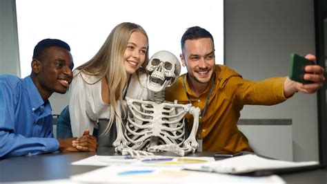 Todos los Huesos del Cuerpo – Tabla Resumen | Concise Anatomy Blog