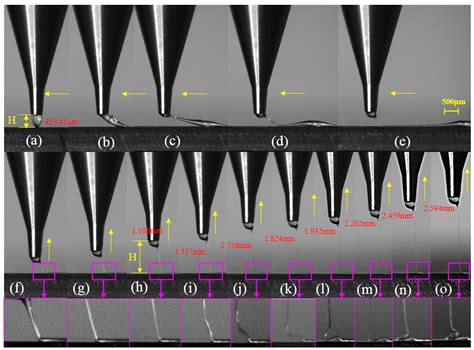 Experimental Analysis of Polycaprolactone High-Resolution Fused ...